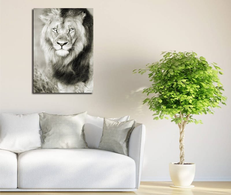 Koristeellinen Canvastaulu 30x40 cm, Monivärinen