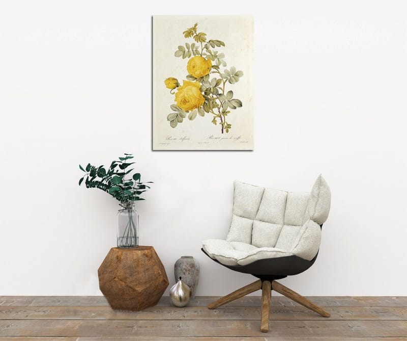 Koristeellinen Canvastaulu 30x40 cm, Monivärinen