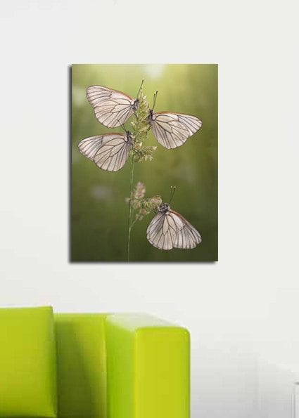 Koristeellinen Canvastaulu 30x40 cm - Monivärinen - Sisustustuotteet - Taulu & taide - Canvas-taulu