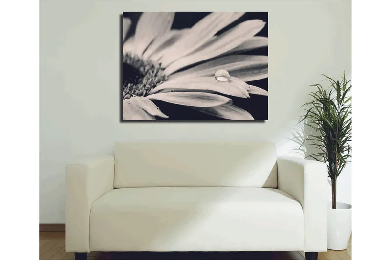 Koristeellinen Canvastaulu 30x40 cm, Monivärinen