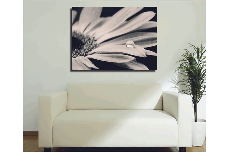 Koristeellinen Canvastaulu 30x40 cm, Monivärinen