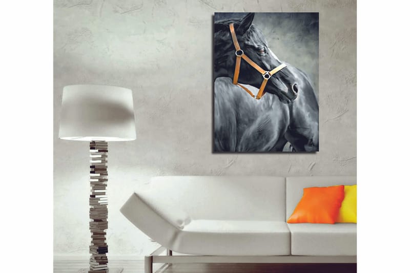 Koristeellinen Canvastaulu 30x40 cm, Monivärinen