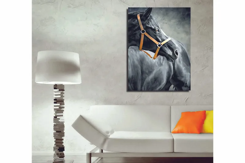 Koristeellinen Canvastaulu 30x40 cm, Monivärinen