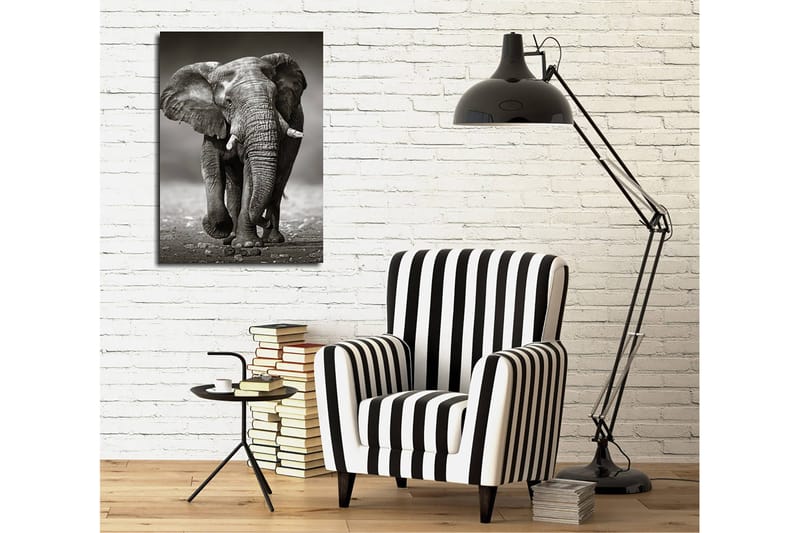 Koristeellinen Canvastaulu 30x40 cm, Monivärinen