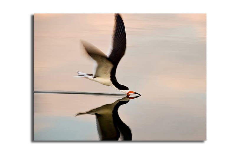 Koristeellinen Canvastaulu 30x40 cm, Monivärinen