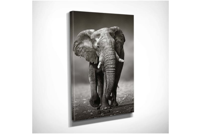 Koristeellinen Canvastaulu 30x40 cm - Monivärinen - Sisustustuotteet - Taulu & taide - Canvas-taulu