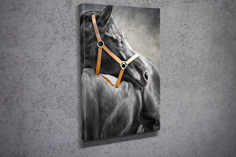 Koristeellinen Canvastaulu 30x40 cm - Monivärinen - Sisustustuotteet - Taulu & taide - Canvas-taulu