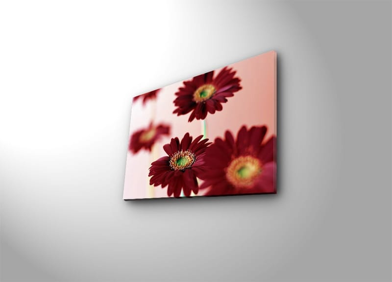 Koristeellinen Canvastaulu 30x40 cm, Monivärinen