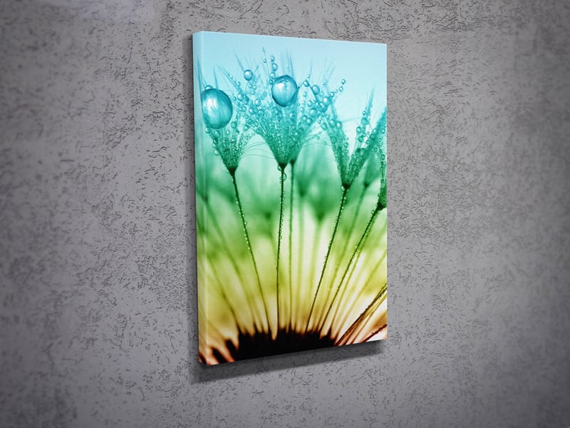 Koristeellinen Canvastaulu 30x40 cm - Monivärinen - Sisustustuotteet - Taulu & taide - Canvas-taulu