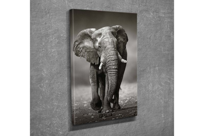 Koristeellinen Canvastaulu 30x40 cm - Monivärinen - Sisustustuotteet - Taulu & taide - Canvas-taulu