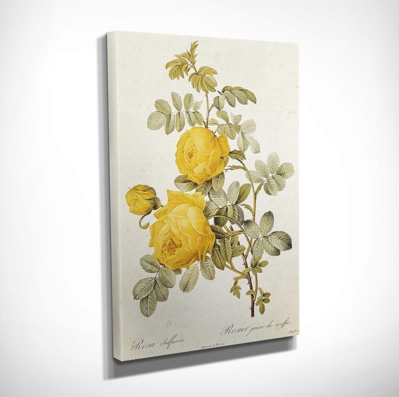 Koristeellinen Canvastaulu 30x40 cm - Monivärinen - Sisustustuotteet - Taulu & taide - Canvas-taulu