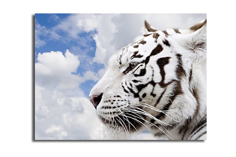 Koristeellinen Canvastaulu 30x40 cm, Monivärinen