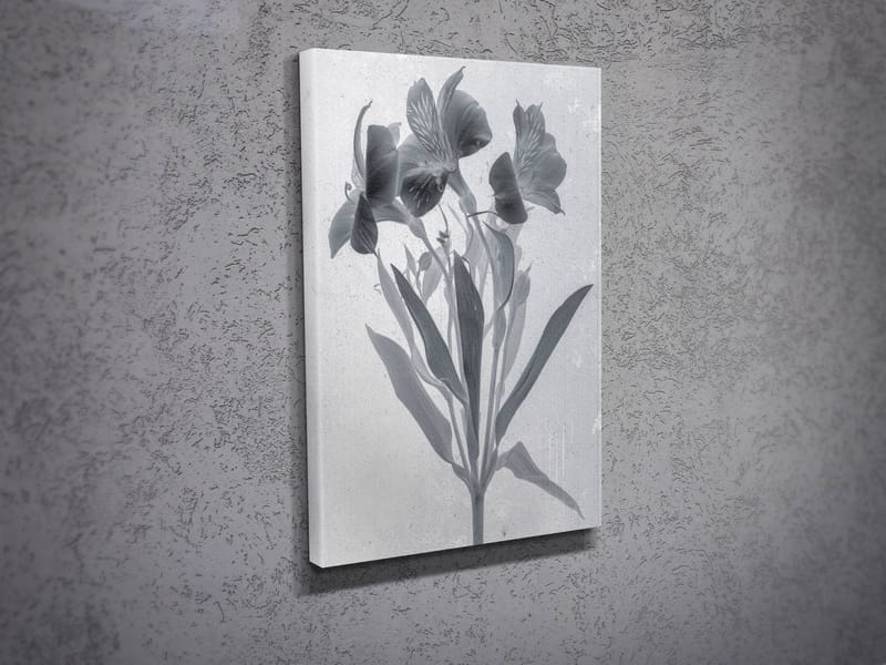 Koristeellinen Canvastaulu 30x40 cm - Monivärinen - Sisustustuotteet - Taulu & taide - Canvas-taulu