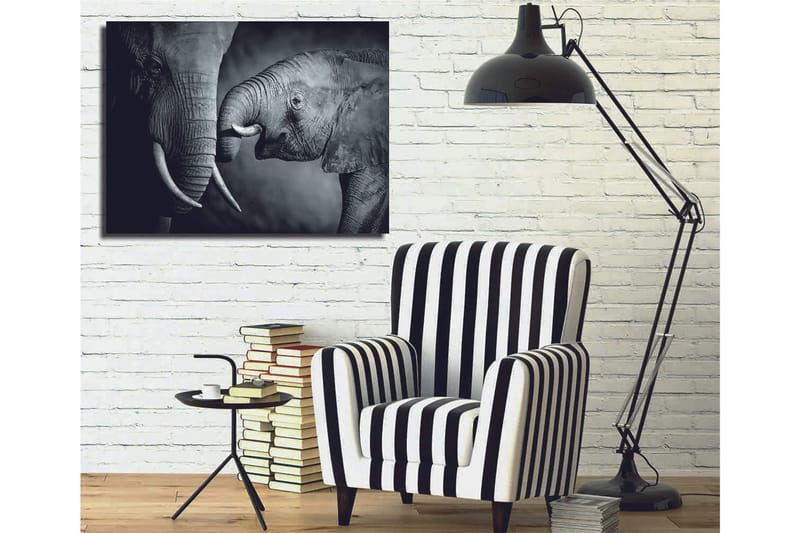 Koristeellinen Canvastaulu 30x40 cm, Monivärinen