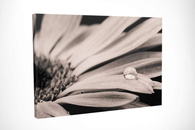 Koristeellinen Canvastaulu 30x40 cm - Monivärinen - Sisustustuotteet - Taulu & taide - Canvas-taulu