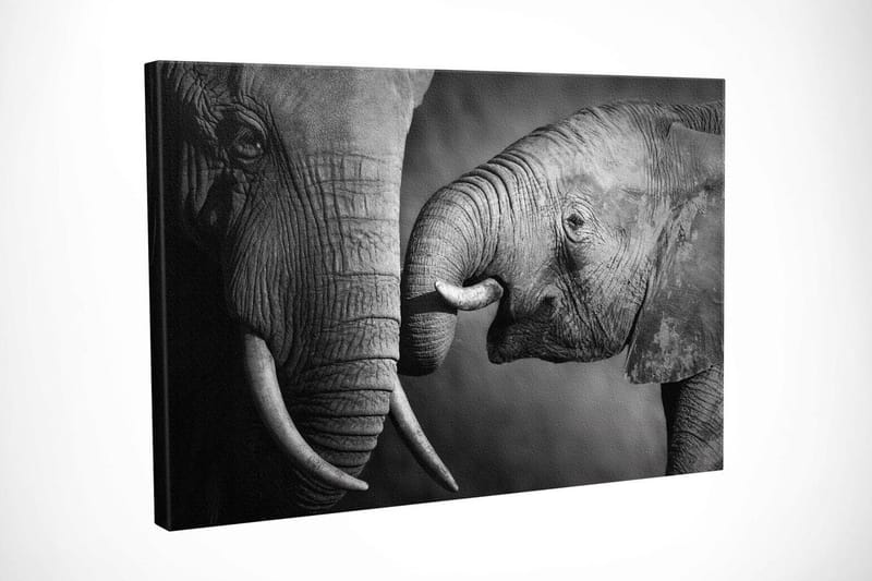 Koristeellinen Canvastaulu 30x40 cm - Monivärinen - Sisustustuotteet - Taulu & taide - Canvas-taulu