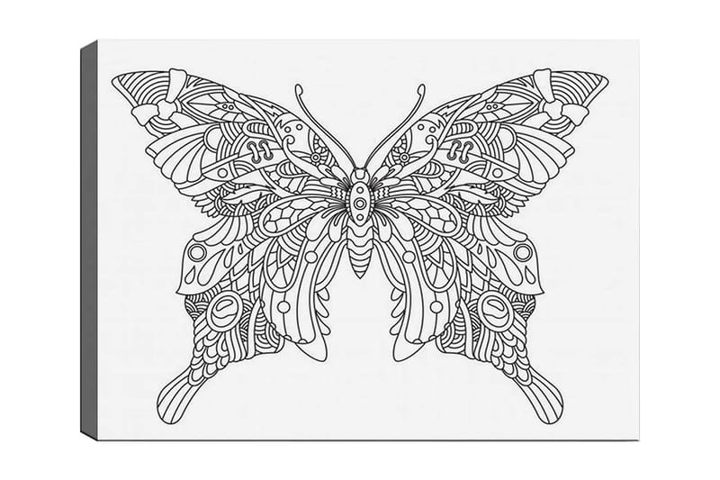 Koristeellinen Canvastaulu 30x40 cm, Valkoinen/Musta