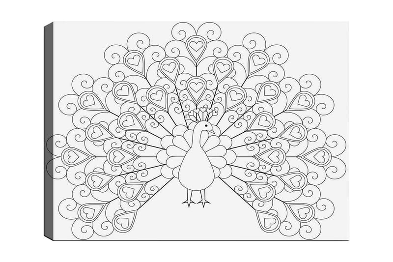 Koristeellinen Canvastaulu 30x40 cm, Valkoinen/Musta