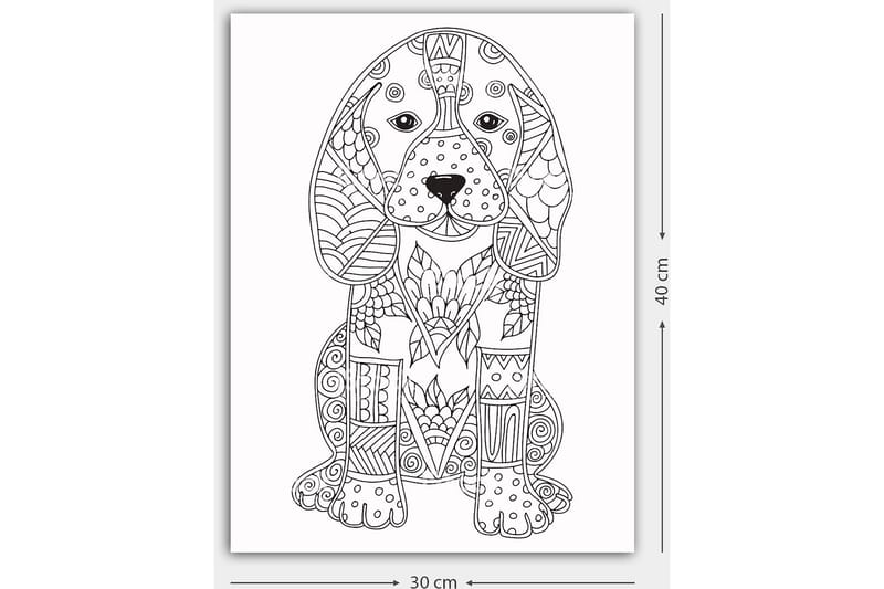 Koristeellinen Canvastaulu 30x40 cm - Valkoinen/Musta - Sisustustuotteet - Taulu & taide - Canvas-taulu