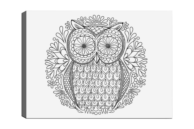 Koristeellinen Canvastaulu 30x40 cm, Valkoinen/Musta