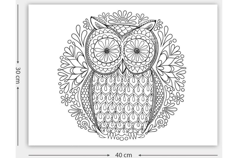 Koristeellinen Canvastaulu 30x40 cm - Valkoinen/Musta - Sisustustuotteet - Taulu & taide - Canvas-taulu