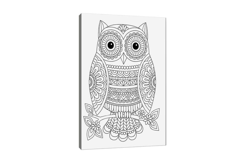 Koristeellinen Canvastaulu 30x40 cm, Valkoinen/Musta