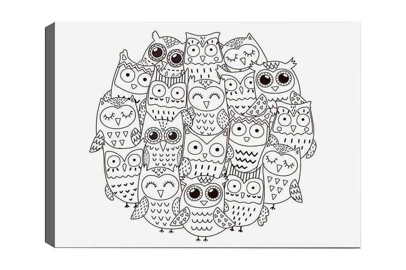 Koristeellinen Canvastaulu 30x40 cm, Valkoinen/Musta