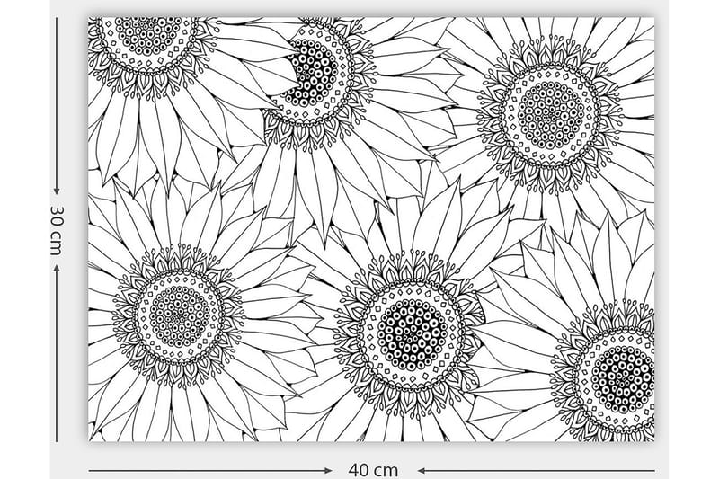 Koristeellinen Canvastaulu 30x40 cm - Valkoinen/Musta - Sisustustuotteet - Taulu & taide - Canvas-taulu
