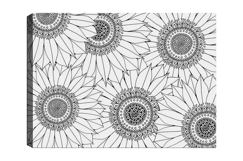 Koristeellinen Canvastaulu 30x40 cm, Valkoinen/Musta