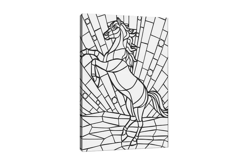 Koristeellinen Canvastaulu 30x40 cm, Valkoinen/Musta