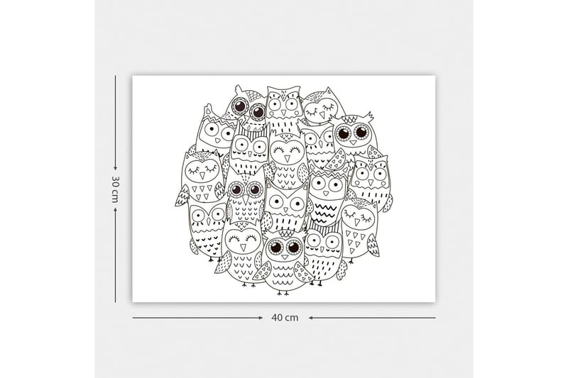 Koristeellinen Canvastaulu 30x40 cm - Valkoinen/Musta - Sisustustuotteet - Taulu & taide - Canvas-taulu