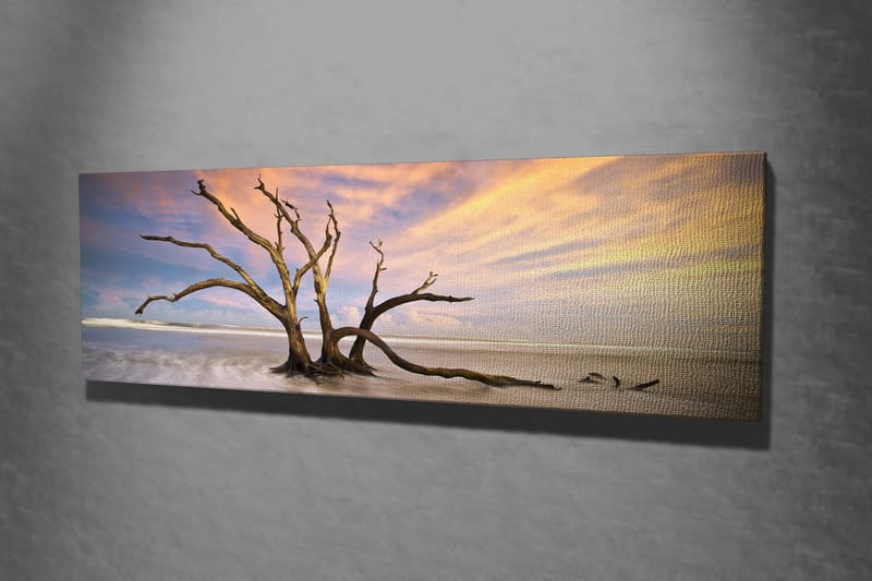 Koristeellinen Canvastaulu 30x80 cm - Monivärinen - Sisustustuotteet - Taulu & taide - Canvas-taulu