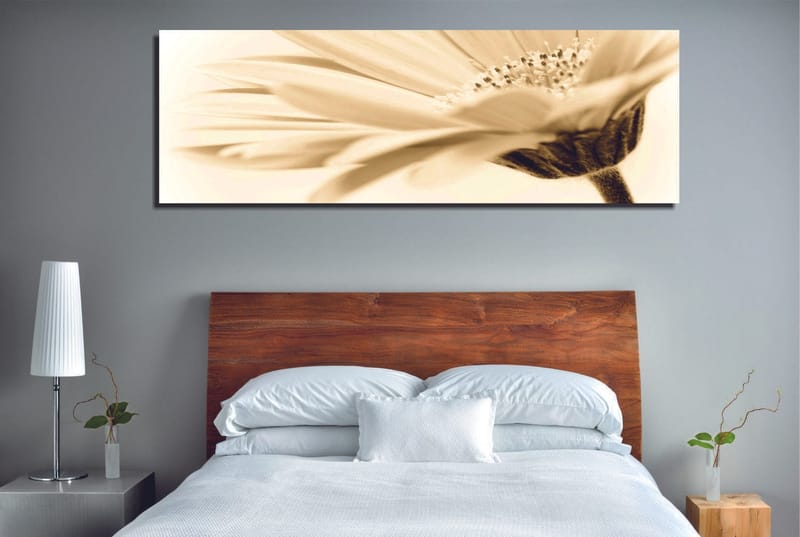 Koristeellinen Canvastaulu 30x80 cm, Monivärinen