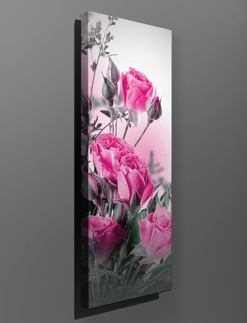 Koristeellinen Canvastaulu 30x80 cm - Monivärinen - Sisustustuotteet - Taulu & taide - Canvas-taulu