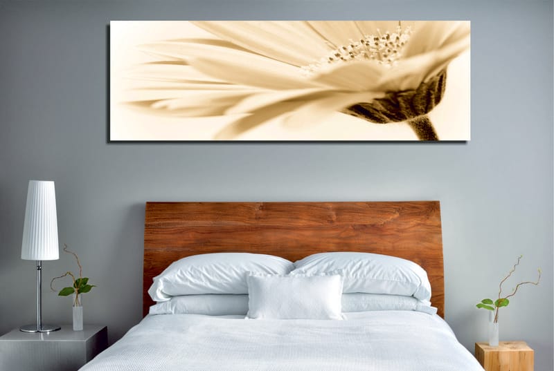Koristeellinen Canvastaulu 30x80 cm - Monivärinen - Sisustustuotteet - Taulu & taide - Canvas-taulu