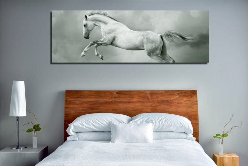 Koristeellinen Canvastaulu 30x80 cm - Monivärinen - Sisustustuotteet - Taulu & taide - Canvas-taulu