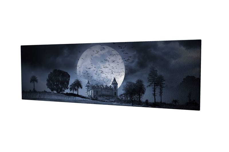 Koristeellinen Canvastaulu 30x80 cm - Monivärinen - Sisustustuotteet - Taulu & taide - Canvas-taulu