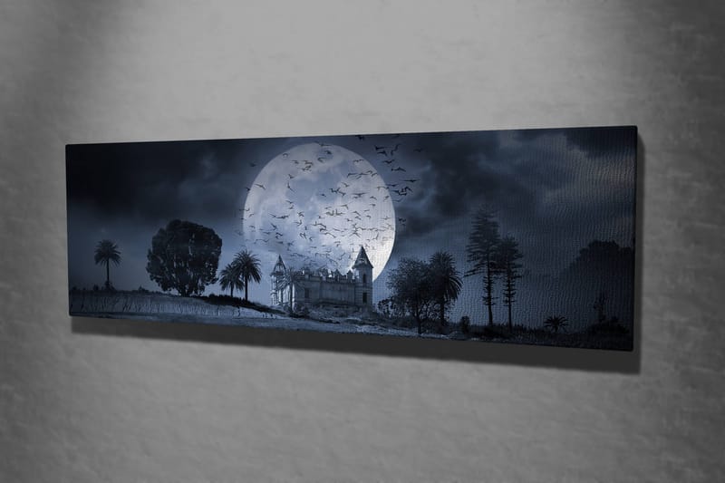 Koristeellinen Canvastaulu 30x80 cm - Monivärinen - Sisustustuotteet - Taulu & taide - Canvas-taulu