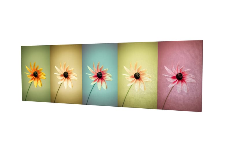 Koristeellinen Canvastaulu 30x80 cm - Monivärinen - Sisustustuotteet - Taulu & taide - Canvas-taulu