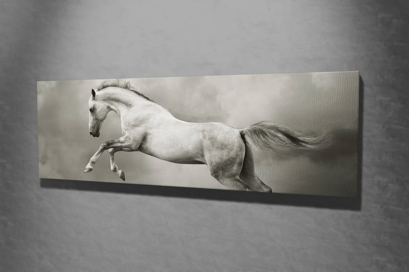 Koristeellinen Canvastaulu 30x80 cm - Monivärinen - Sisustustuotteet - Taulu & taide - Canvas-taulu