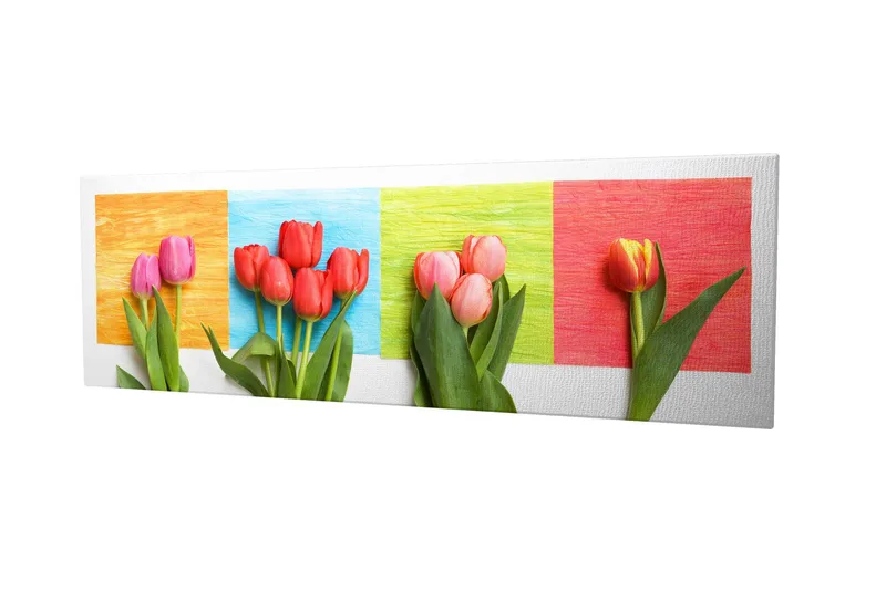 Koristeellinen Canvastaulu 30x80 cm - Monivärinen - Sisustustuotteet - Taulu & taide - Canvas-taulu