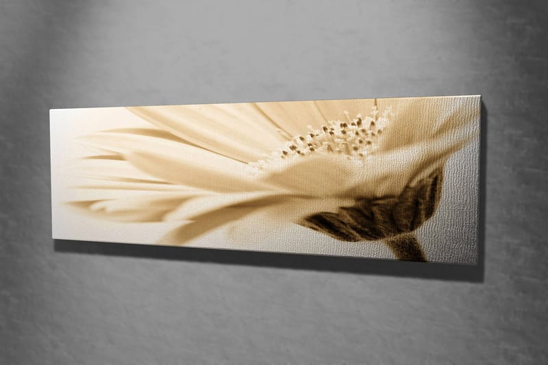 Koristeellinen Canvastaulu 30x80 cm - Monivärinen - Sisustustuotteet - Taulu & taide - Canvas-taulu