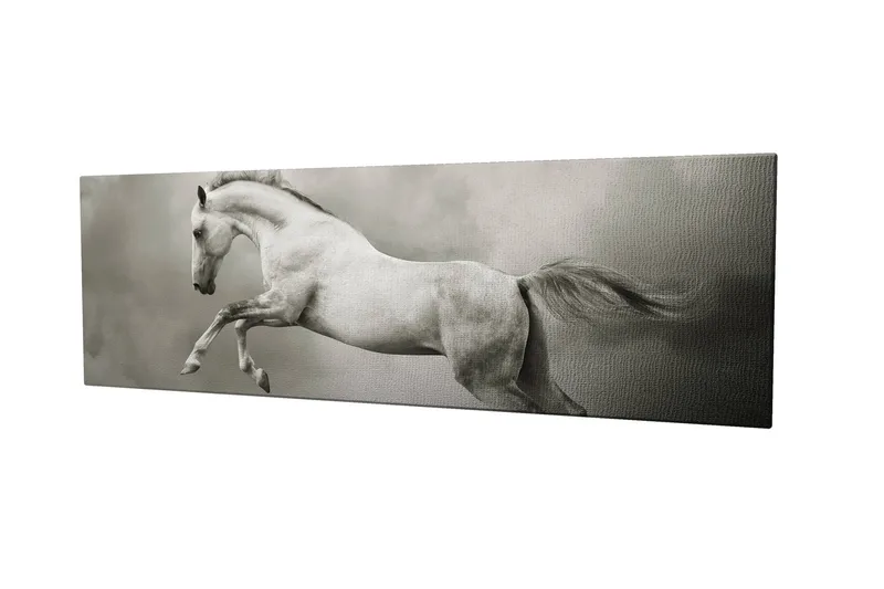 Koristeellinen Canvastaulu 30x80 cm - Monivärinen - Sisustustuotteet - Taulu & taide - Canvas-taulu