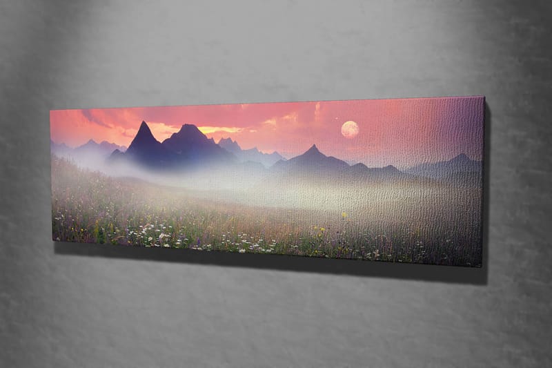 Koristeellinen Canvastaulu 30x80 cm - Monivärinen - Sisustustuotteet - Taulu & taide - Canvas-taulu