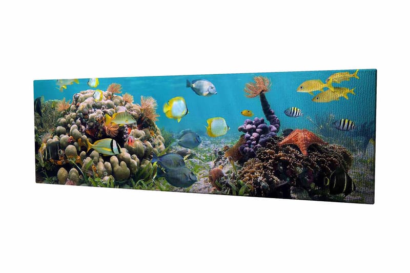 Koristeellinen Canvastaulu 30x80 cm, Monivärinen