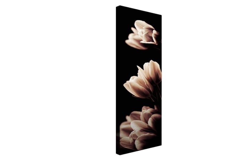 Koristeellinen Canvastaulu 30x80 cm - Monivärinen - Sisustustuotteet - Taulu & taide - Canvas-taulu