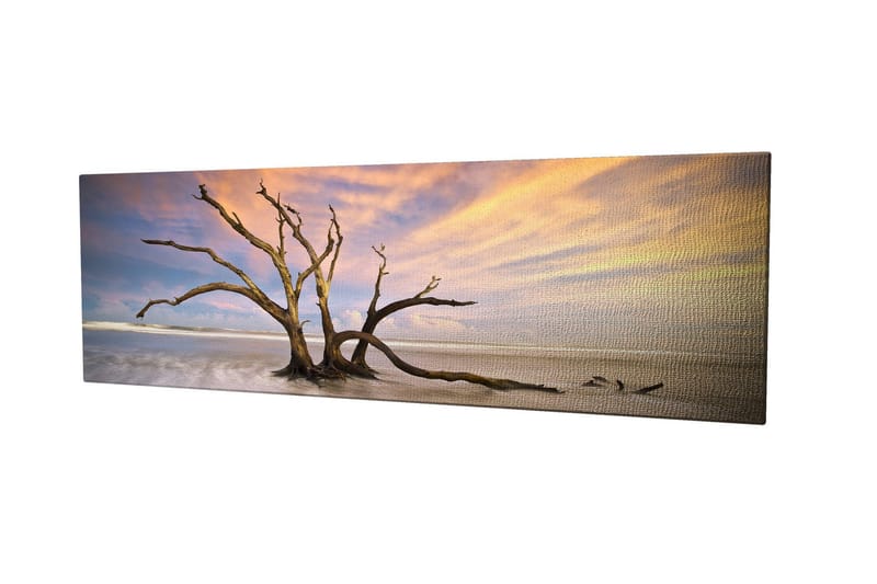 Koristeellinen Canvastaulu 30x80 cm, Monivärinen