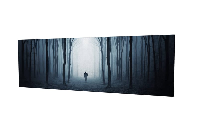 Koristeellinen Canvastaulu 30x80 cm - Monivärinen - Sisustustuotteet - Taulu & taide - Canvas-taulu