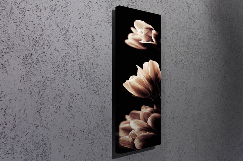 Koristeellinen Canvastaulu 30x80 cm - Monivärinen - Sisustustuotteet - Taulu & taide - Canvas-taulu