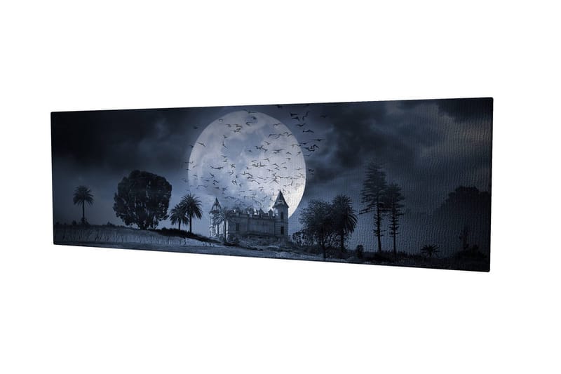 Koristeellinen Canvastaulu 30x80 cm, Monivärinen